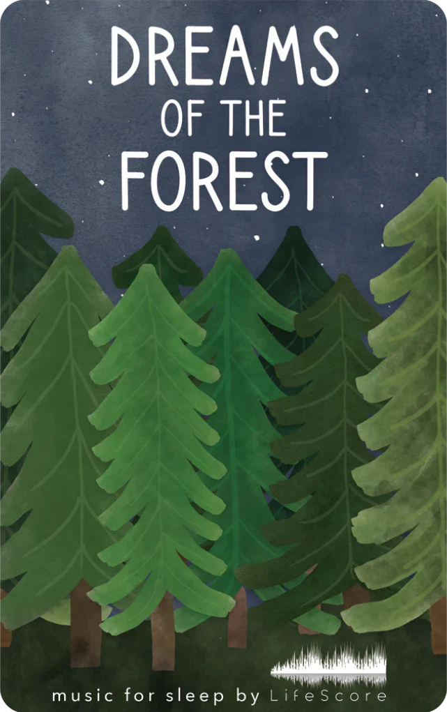 The Dream Collection