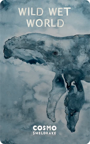 Wild Wet World (Digital)
