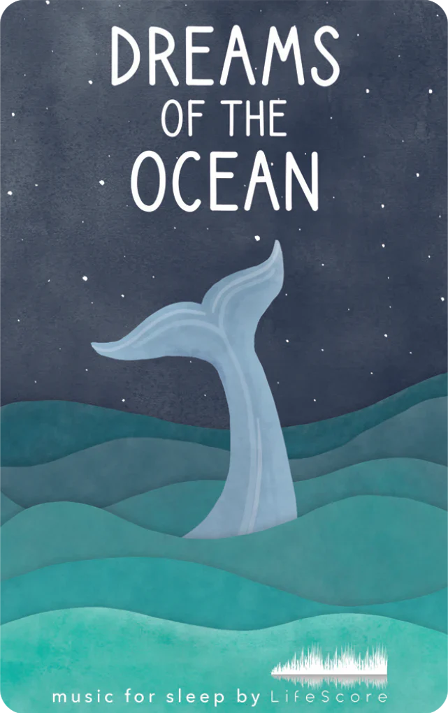 The Dream Collection