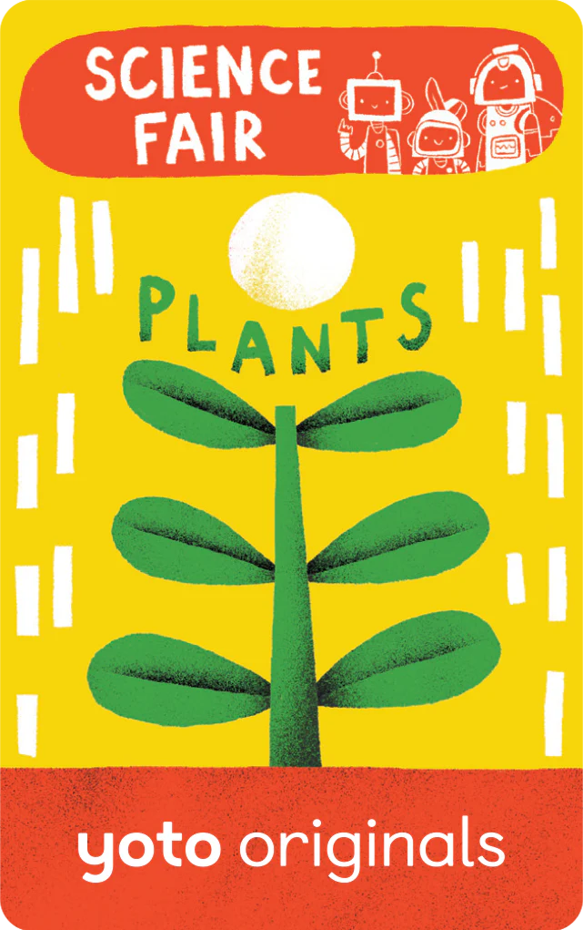 BrainBots Science Fair